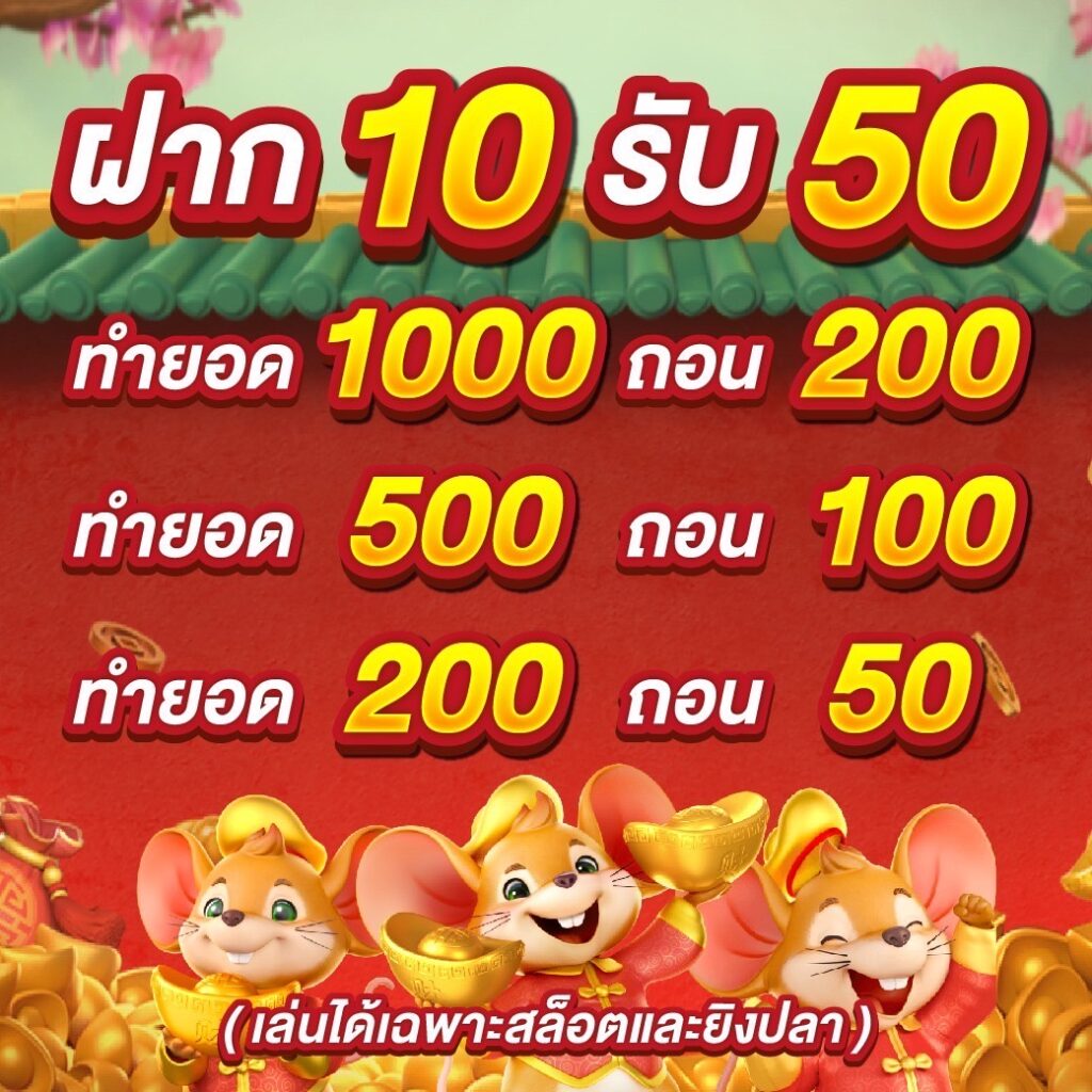 โปรโมชั่นWinner345